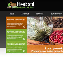 Organic Food Website